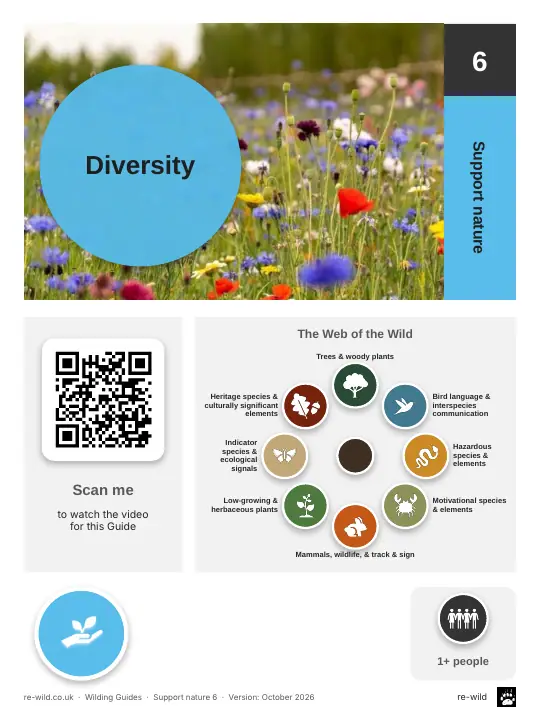 Front of the Diversity activity guide