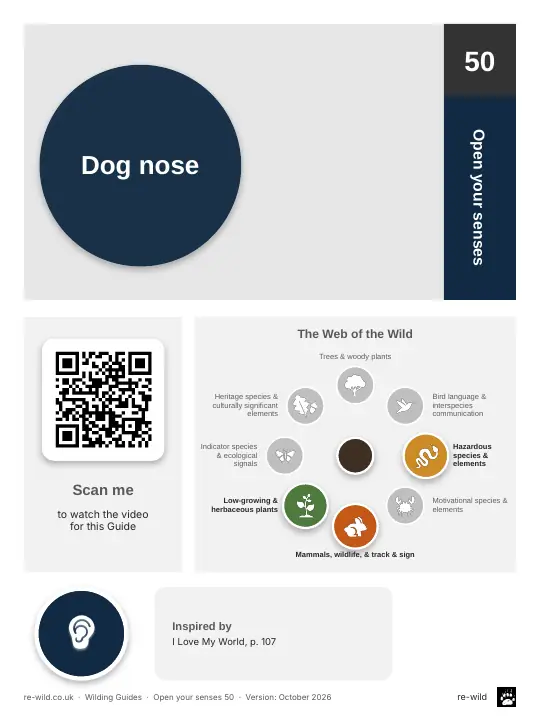 Front of the Dog nose activity guide