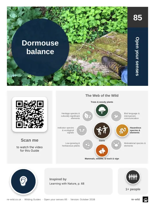 Front of the Dormouse balance activity guide