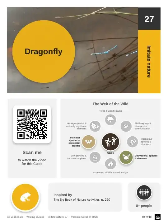 Front of the Dragonfly activity guide