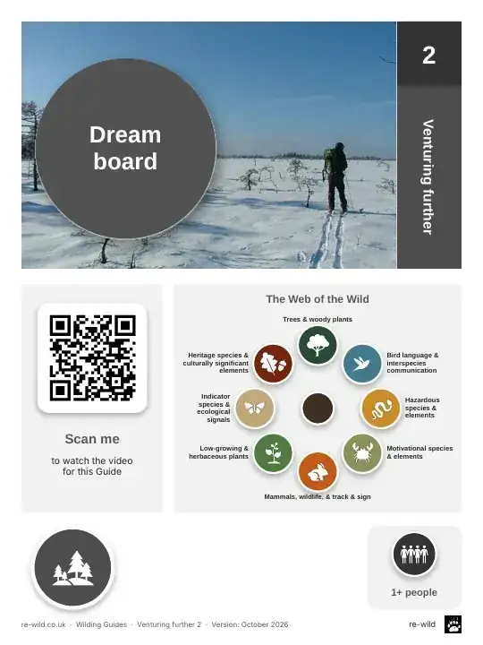 Front of the Dream board activity guide