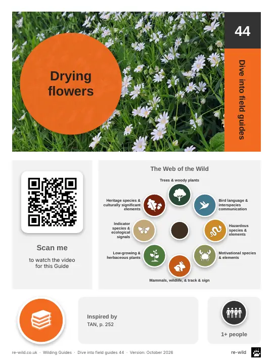 Front of the Drying flowers activity guide