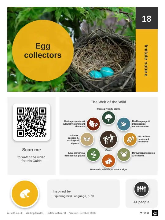Front of the Egg collectors activity guide