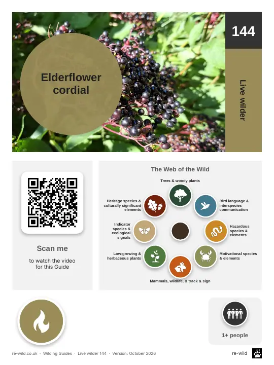Front of the Elderflower cordial activity guide