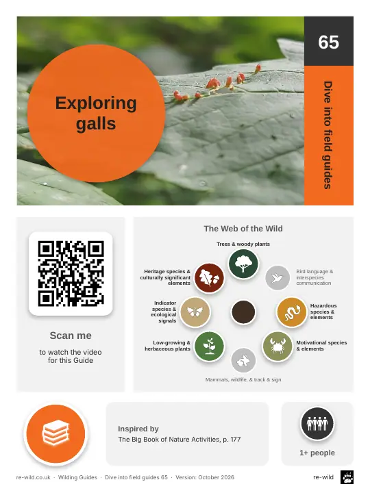 Front of the Exploring galls activity guide