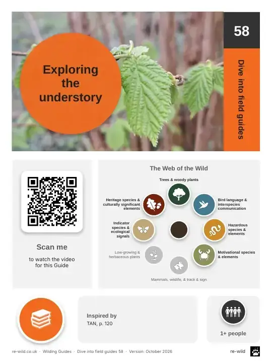 Front of the Exploring the understory activity guide