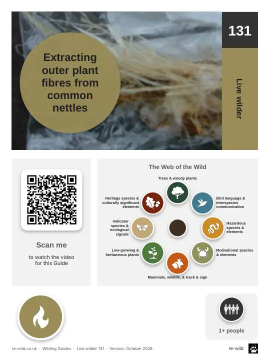 Front of the Extracting outer plant fibres from common nettles activity guide