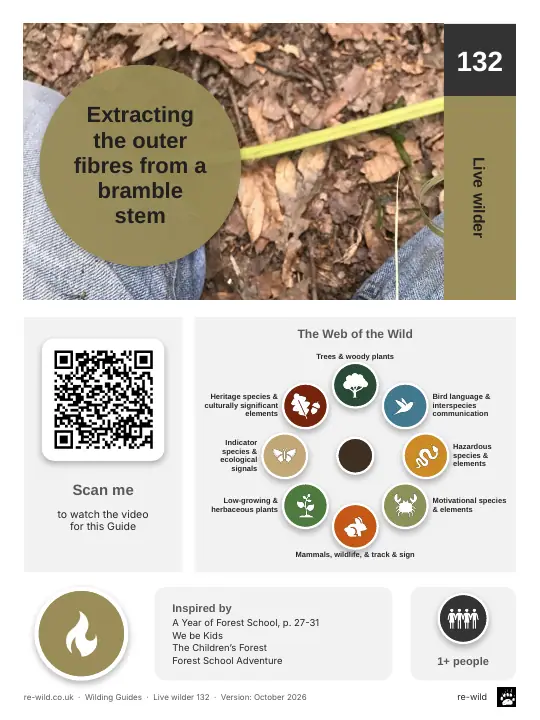 Front of the Extracting the outer fibres from a bramble stem activity guide