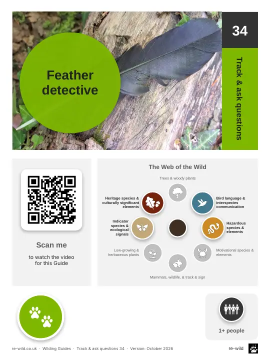Front of the Feather detective activity guide
