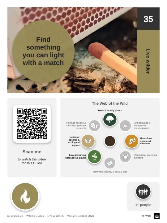 Front of the Find something you can light with a match activity guide