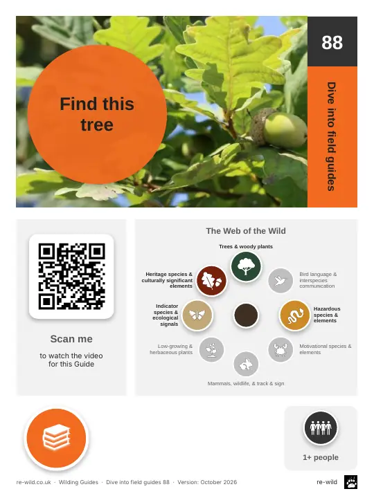 Front of the Find this tree activity guide