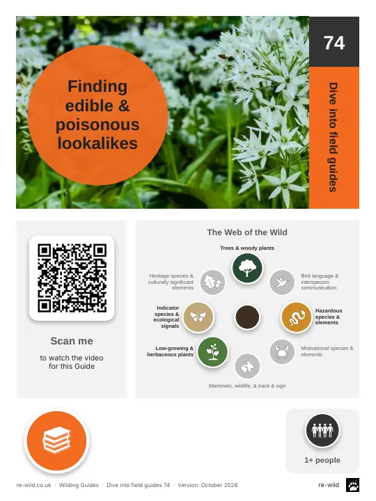 Front of the Finding edible & poisonous lookalikes activity guide