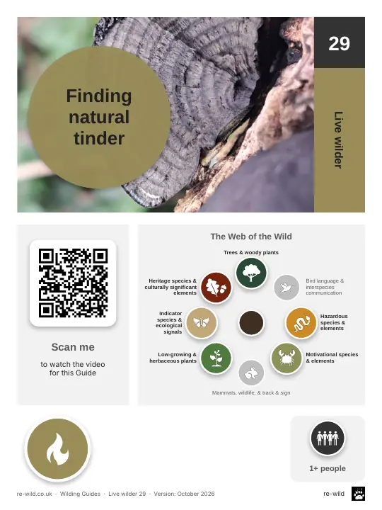 Front of the Finding natural tinder activity guide