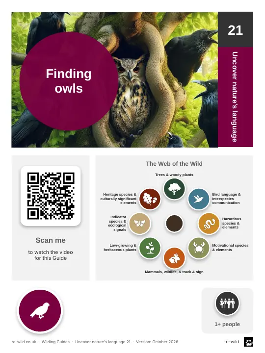 Front of the Finding owls activity guide