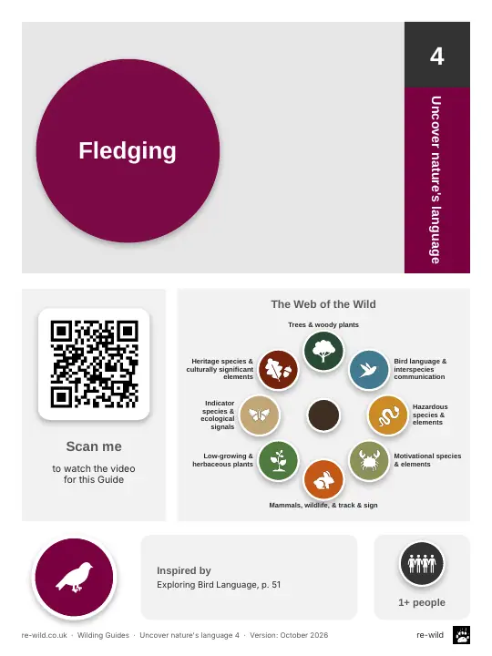 Front of the Fledging activity guide