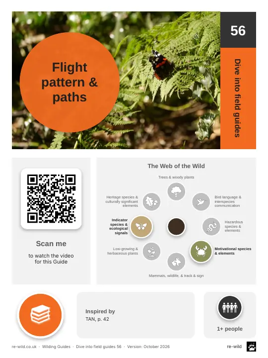 Front of the Flight pattern & paths activity guide
