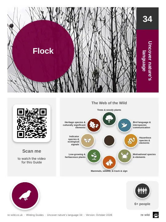 Front of the Flock activity guide