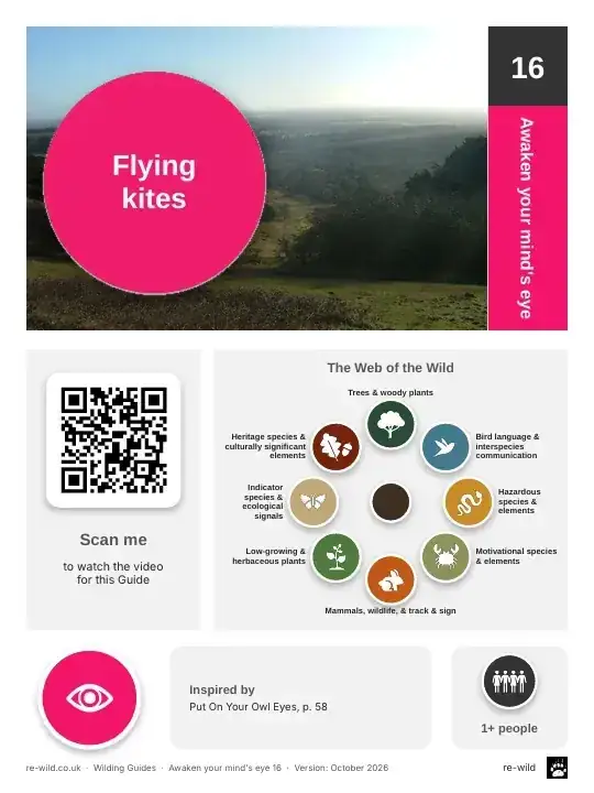 Front of the Flying kites activity guide