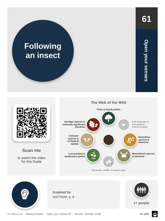 Front of the Following an insect activity guide