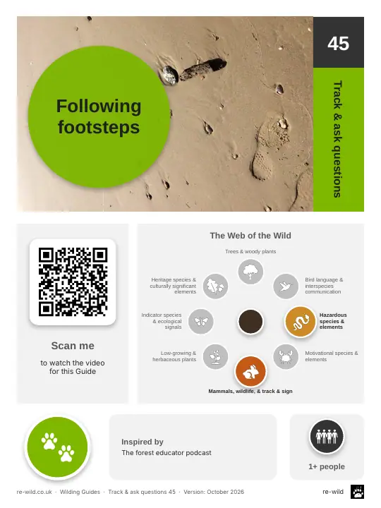 Front of the Following footsteps activity guide