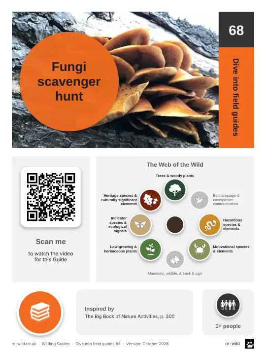 Front of the Fungi scavenger hunt activity guide