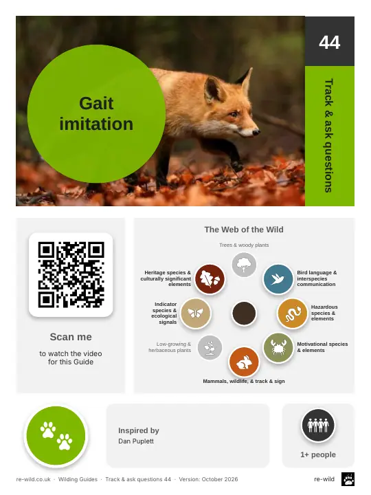 Front of the Gait imitation activity guide