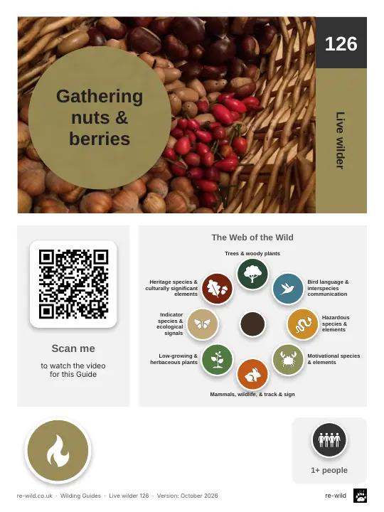 Front of the Gathering nuts & berries activity guide
