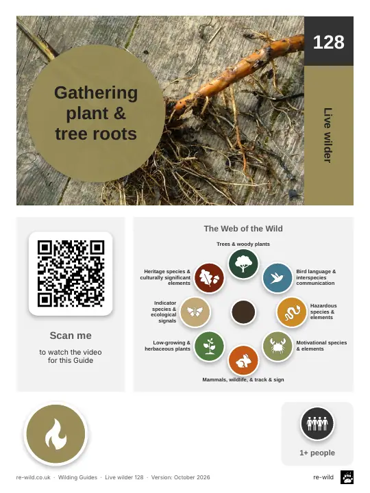 Front of the Gathering plant & tree roots activity guide