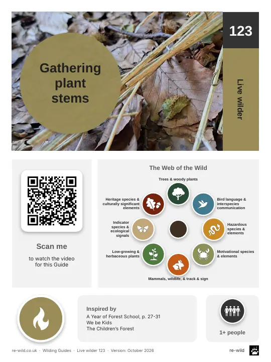 Front of the Gathering plant stems activity guide