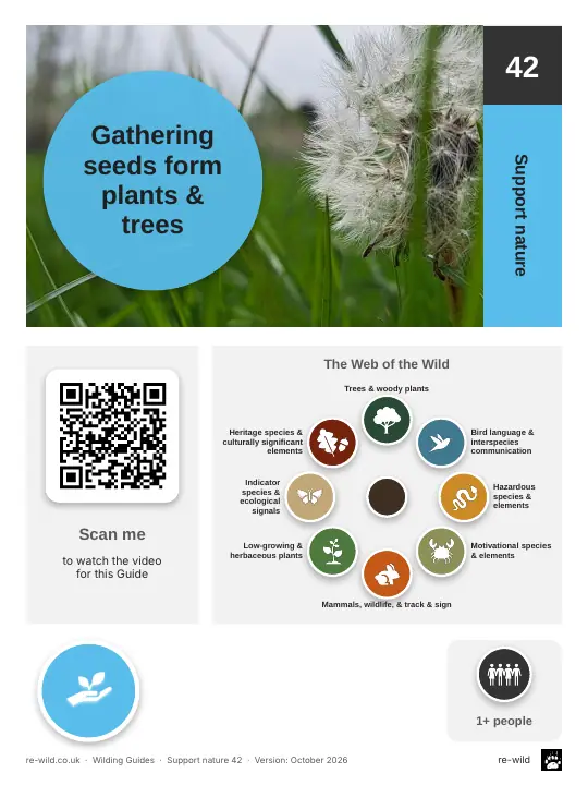 Front of the Gathering seeds form plants & trees activity guide
