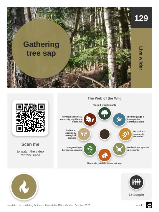 Front of the Gathering tree sap activity guide
