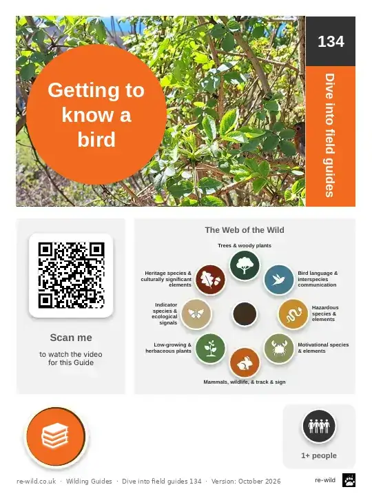 Front of the Getting to know a bird activity guide