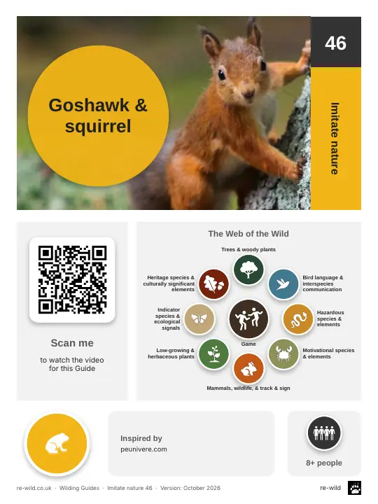 Front of the Goshawk & squirrel activity guide