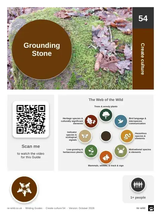 Front of the Grounding Stone activity guide