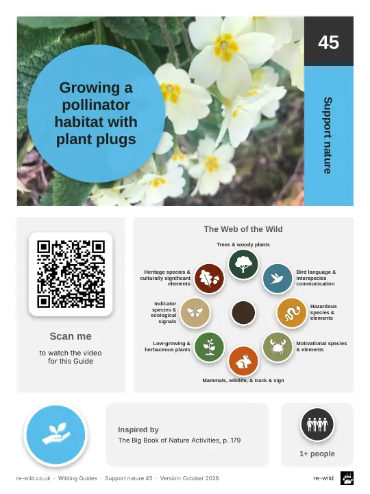 Front of the Growing a pollinator habitat with plant plugs activity guide