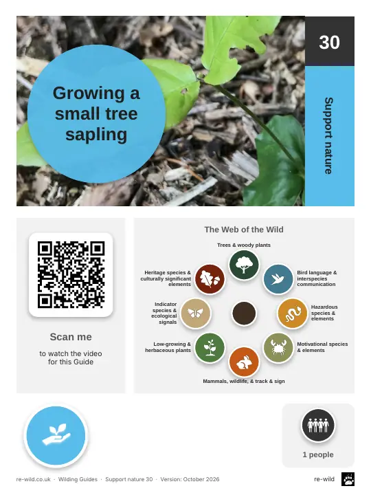 Front of the Growing a small tree sapling activity guide