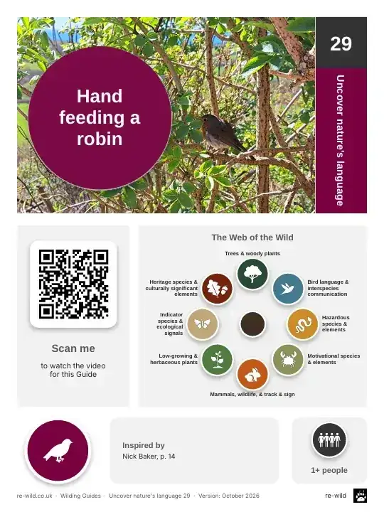 Front of the Hand feeding a robin activity guide