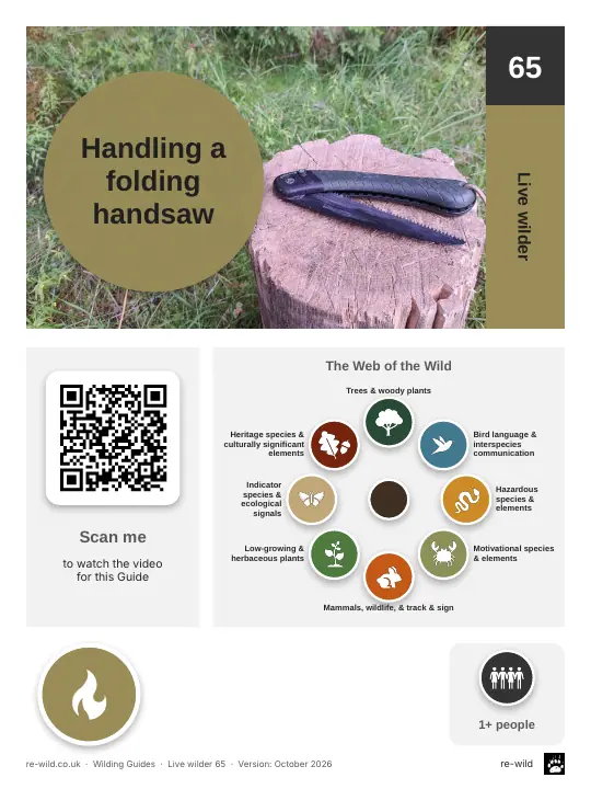 Front of the Handling a folding handsaw activity guide