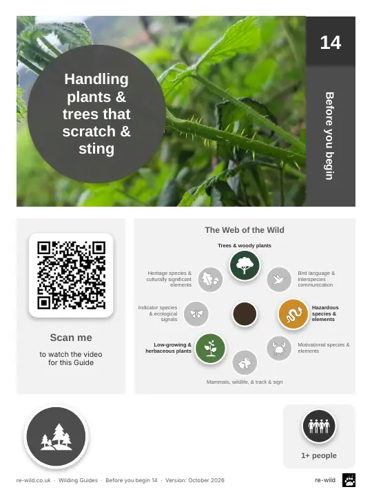 Front of the Handling plants & trees that scratch & sting activity guide