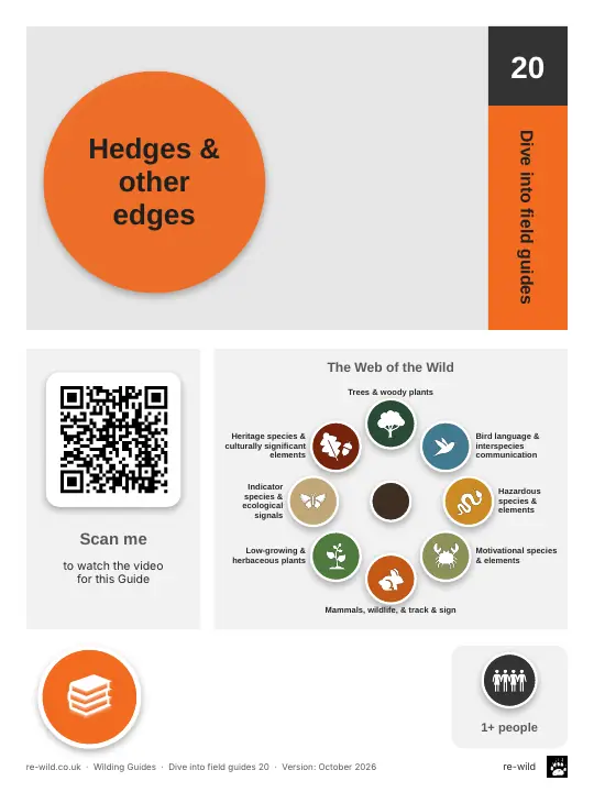 Front of the Hedges & other edges activity guide