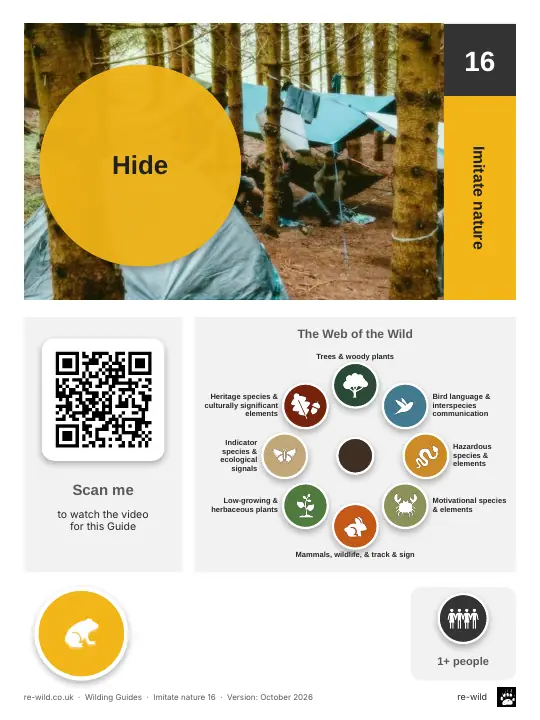 Front of the Hide activity guide