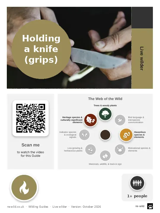 Front of the Holding a knife (grips) activity guide