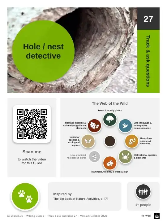 Front of the Hole / nest detective activity guide
