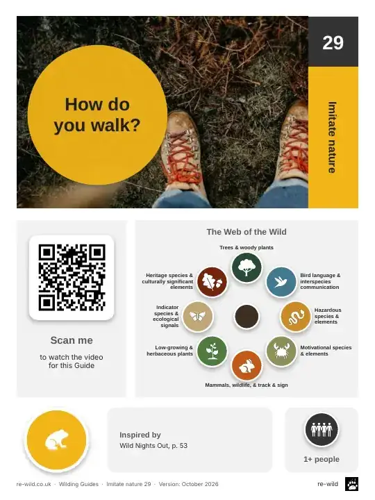Front of the How do you walk? activity guide