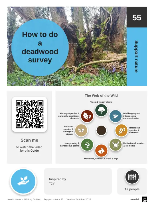 Front of the How to do a deadwood survey activity guide