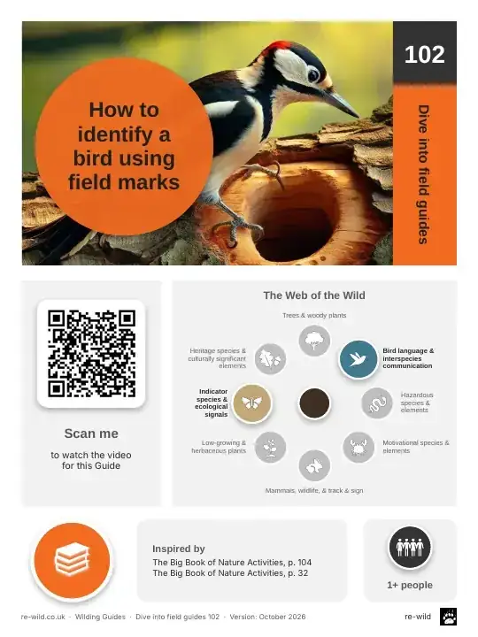 Front of the How to identify a bird using field marks activity guide