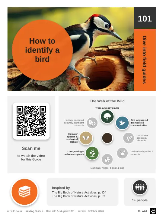 Front of the How to identify a bird activity guide