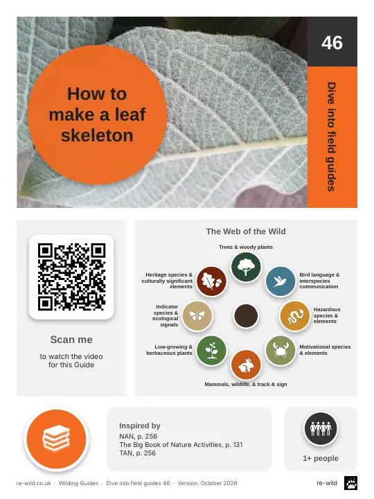 Front of the How to make a leaf skeleton activity guide