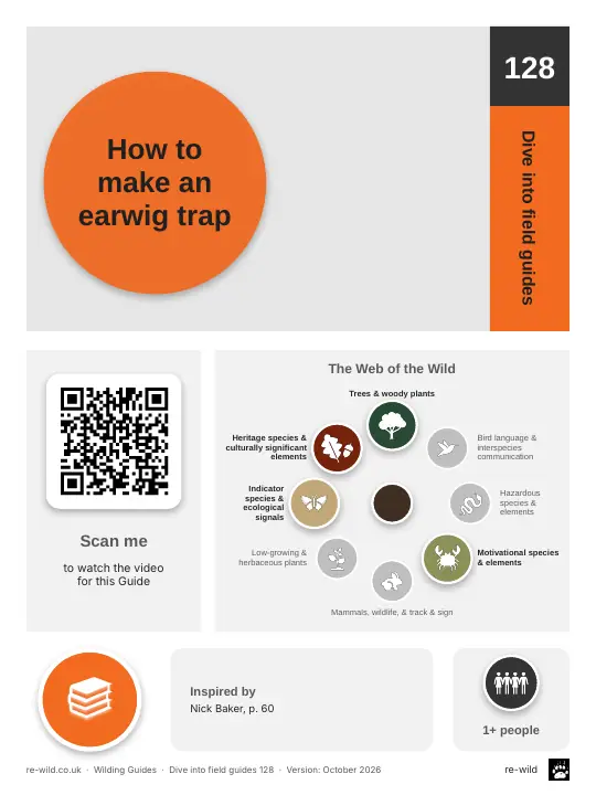 Front of the How to make an earwig trap activity guide