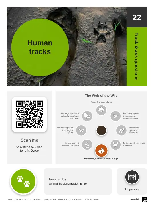 Front of the Human tracks activity guide